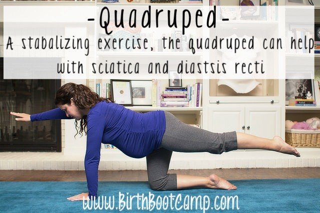 quadruped- exercises for a great pregnancy and birth