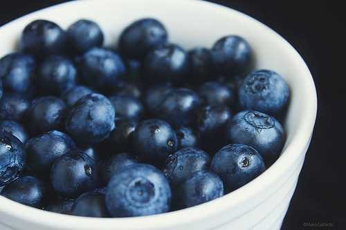 blueberries are a great food for pregnancy