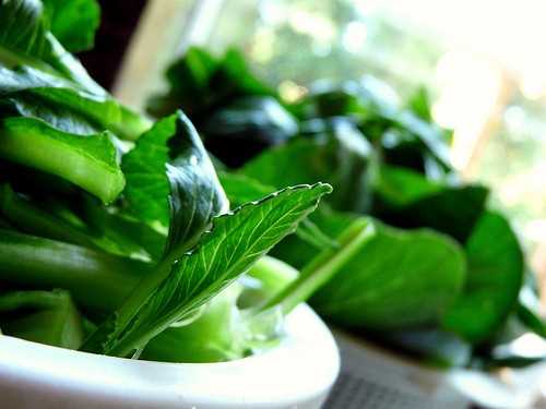 Leafy greens are an excellent source of nutrition during pregnancy