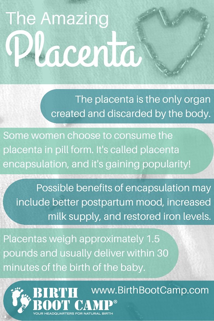 Your Amazing Placenta