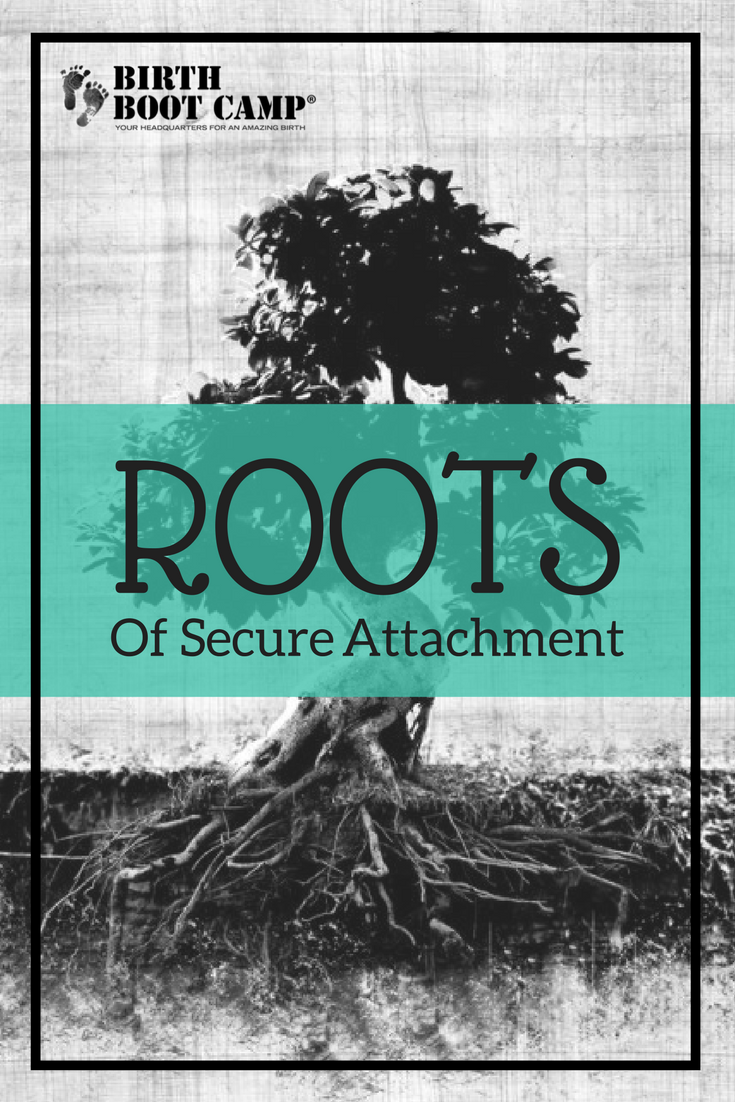 Roots of Secure Attachment