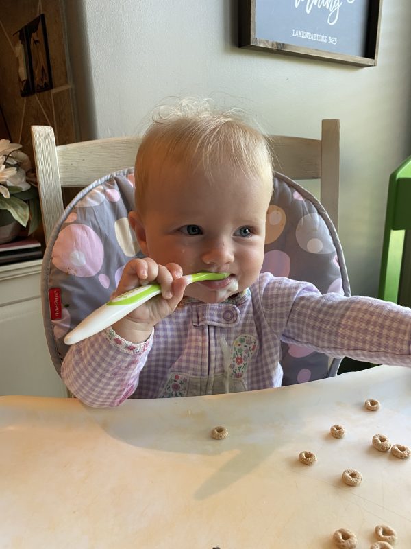 Baby led weaning baby sitting in high chair eating Cheerios