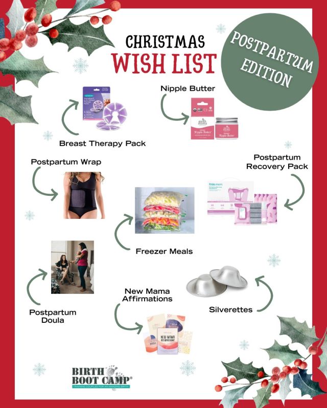 Christmas Wish List - Postpartum Edition